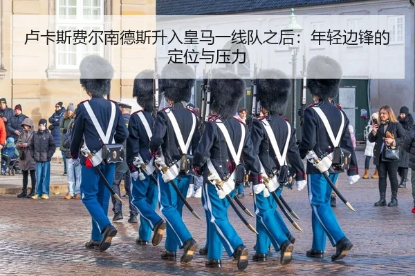 lu-ka-si-fei-er-nan-de-si-sheng-ru-huang-ma-yi-xian-dui-zhi-hou-nian-qing-bian-feng-de-ding-wei-yu-ya-li-2-373.jpg